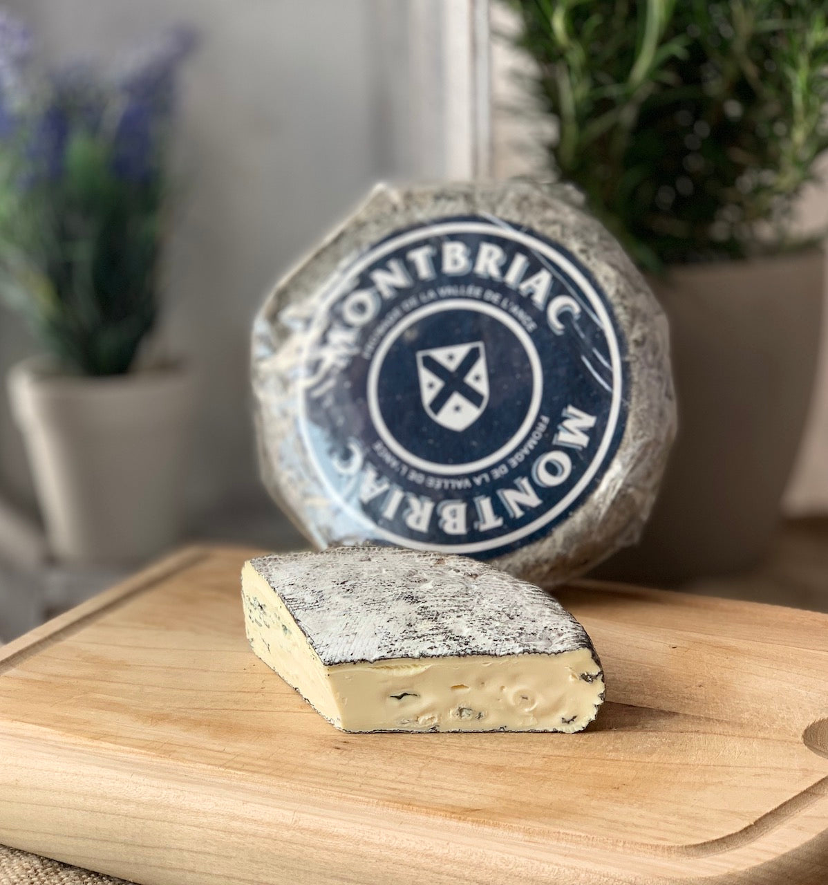 Montbriac Bleu – cremiger Blauschimmel-Weichkäse mit aschegefärbter Rinde