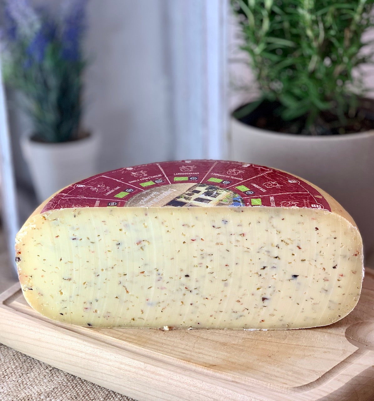 Gouda Aphrodite