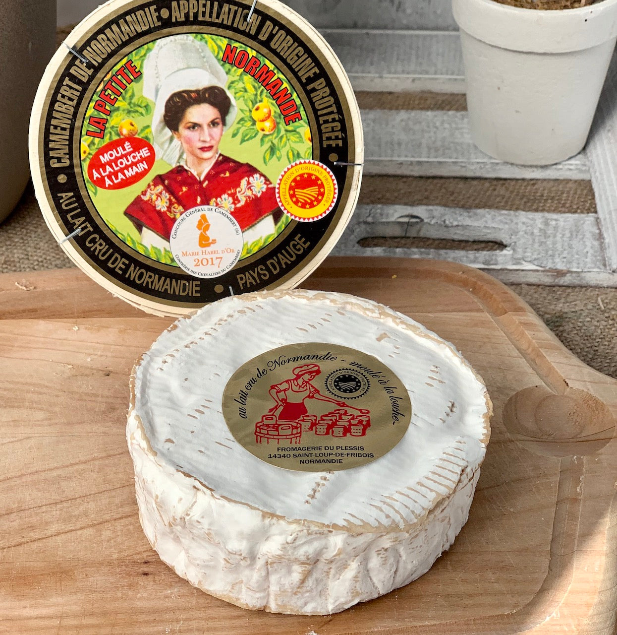 Camembert AOC Cru – Weichkäse mit Weißschimmelrinde aus roher Kuhmilch
