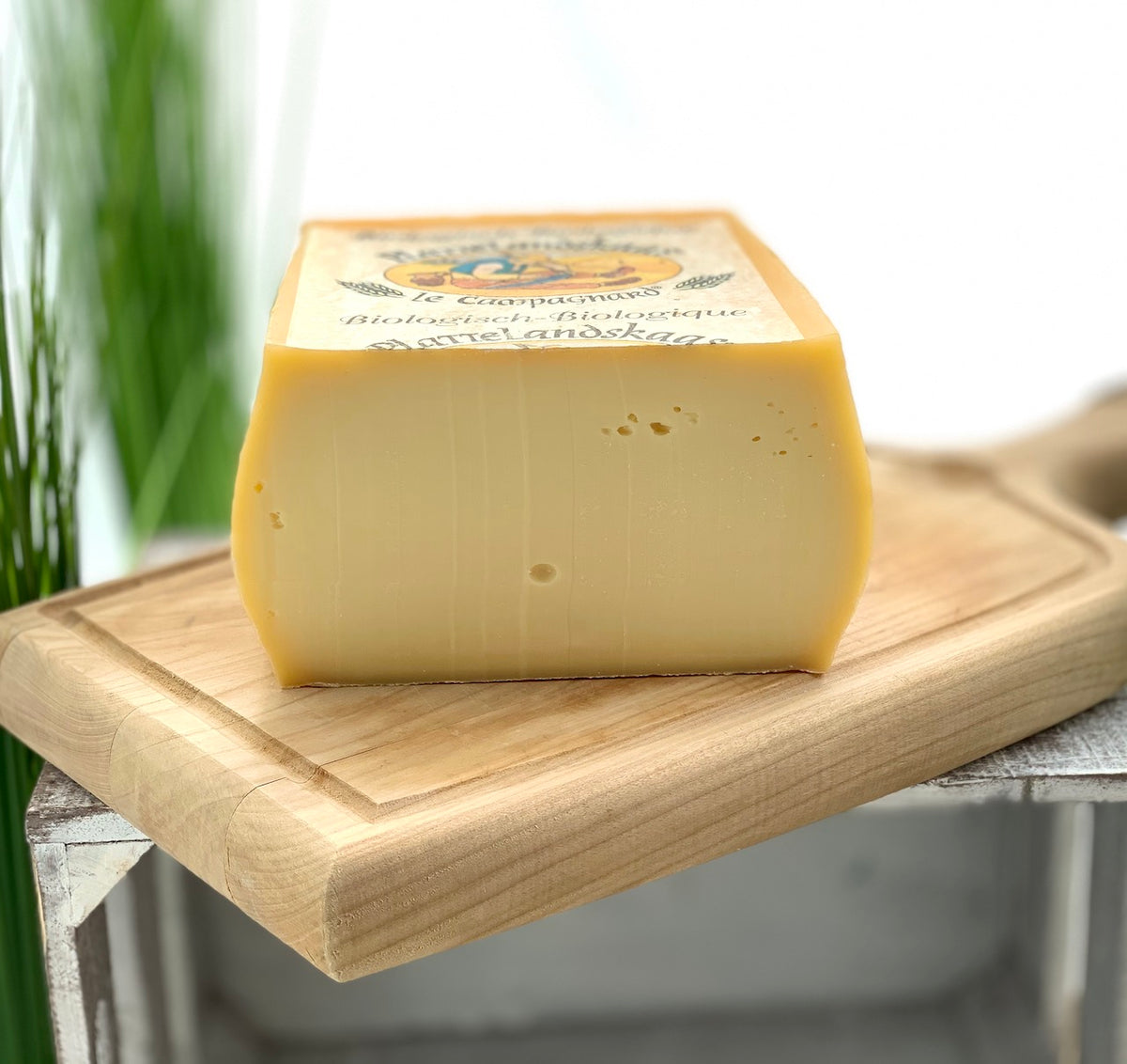 Platte Landkaas – belgischer Schnittkäse aus Kuhmilch