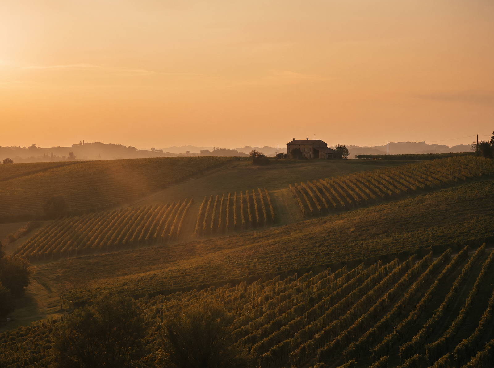 Friaul – italienische Schaumwein-Tradition, alkoholfrei neu gedacht