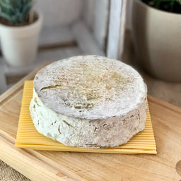 Tomme de Prairie