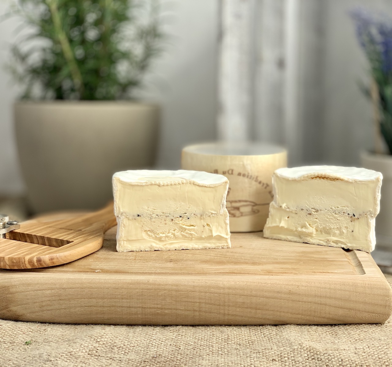 DÉLICE CRÉMIER TRUFFES - Cremiger Weichkäse mit Trüffel DÉLICE CRÉMIER TRUFFES - Cremiger Weichkäse mit Trüffel