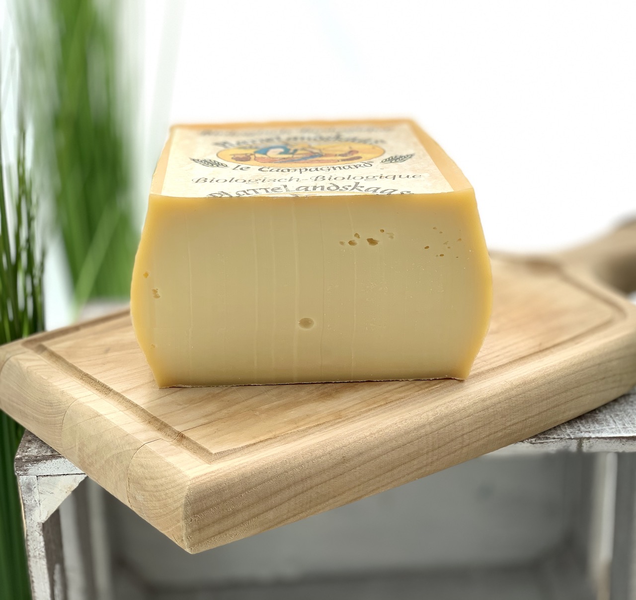 PLATTE LANDKAAS - Schnittkäse aus Belgien PLATTE LANDKAAS - Schnittkäse aus Belgien