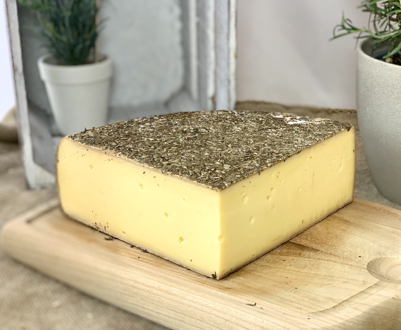 GSTAADER BERGKÄUTER - Schweizer Hartkäse mit Kräutern GSTAADER BERGKÄUTER - Schweizer Hartkäse mit Kräutern
