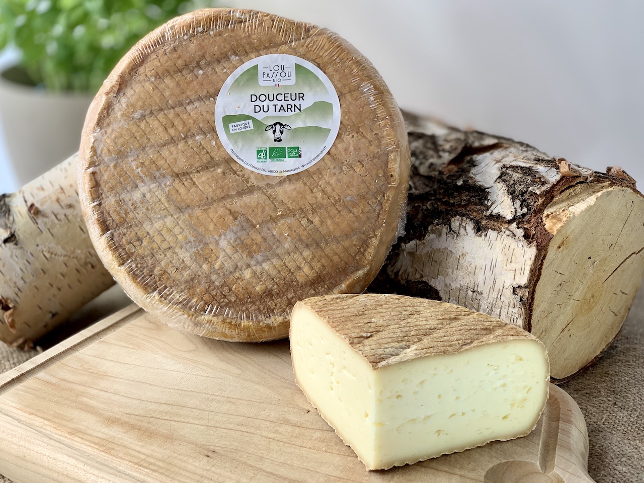 BREBI DOUCEUR DU TARN - Französischer Halbhartkäse aus den Cevennen BREBI DOUCEUR DU TARN - Französischer Halbhartkäse aus den Cevennen